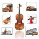 自然人色工艺花纹小无品牌 提琴学成演奏小弦提琴4 4初实木小提琴
