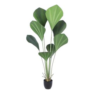 大室型北欧落地-饰仿真植答物内绿植摆装件摄影道具苏门腊盆栽