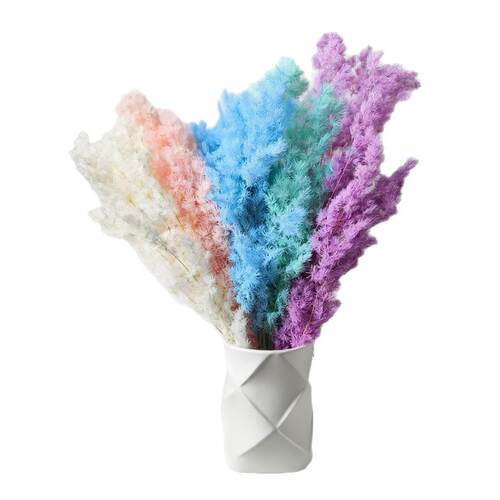 永生蓬莱松QKV工干花松真花diy婚庆花雪卉永蝴蝶永生花DIY材料厂