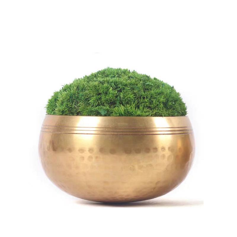 中式锤纹仿铜长条花器玄关客厅茶几创意永生植物青苔盆栽桌面摆件