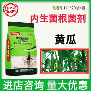 世佳伊宝内生菌根菌剂生物颗粒剂移栽时穴施促进植物吸收土壤养分