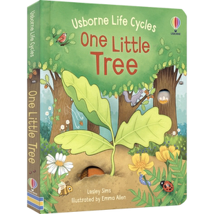 Usborne Life Cycles One Little Tree 尤斯伯恩生命循环系列 树蝴蝶  STEM 洞洞书 幼儿英语科普书 3-6岁 英文原版进口图书
