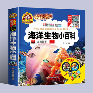 【有声朗读】海洋生物小百科 注音版儿童读物故事书一二年级阅读课外书必读小学版读书推荐带拼音的幼儿园科普绘本启蒙早教书本
