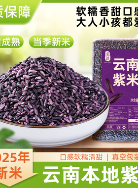 云南墨江紫米当季新米正宗血糯米煮粥酒酿麻薯饭团专用紫糯米黑米
