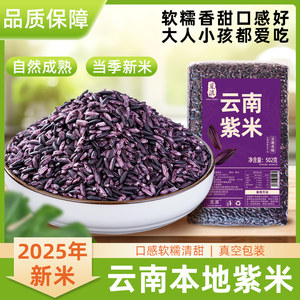 云南墨江紫米当季新米正宗血糯米煮粥酒酿麻薯饭团专用紫糯米黑米
