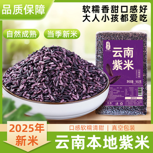 云南墨江紫米当季新米正宗血糯米煮粥酒酿麻薯饭团专用紫糯米黑米