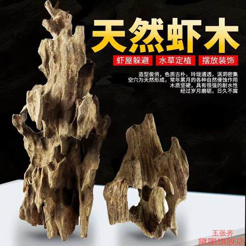 微景观躲避屋鱼缸蜂窝小鱼鱼儿装饰天然花艺造景镂空虾木多孔水族