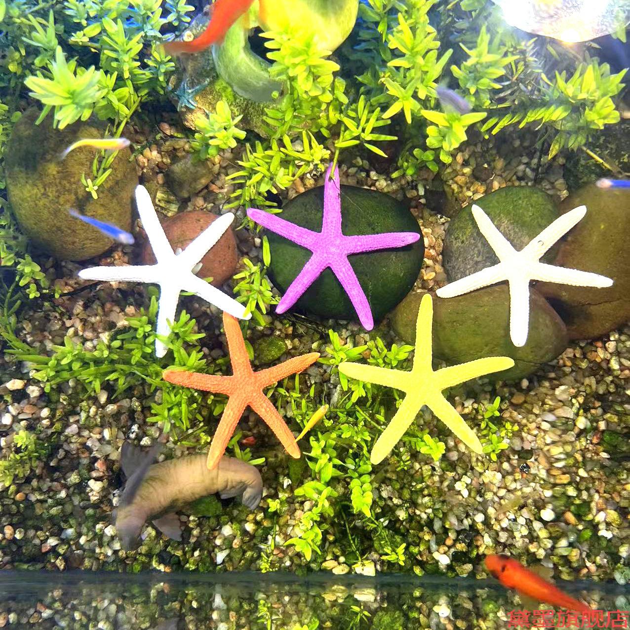 布景仿真海星摆件饰品水族箱装装饰海水缸微景观水景生态鱼缸