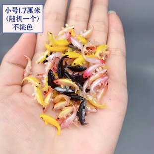 饰不能吃摆件娃娃屋金鱼缸材料迷你小鱼模型道具小动物场景流水 装