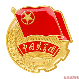 标磁扣徽章入团新款胸章佩戴共青团员学生标准型团徽别针胸徽