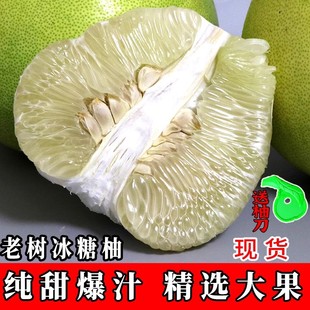 现摘现发泸州护国水晶柚冰糖柚小苦柚安福苦蚕子湖南安江雪峰柚子