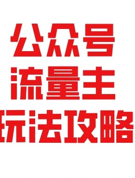 【蓝海项目】公众号流量主全新玩法攻略：30天收益42174元