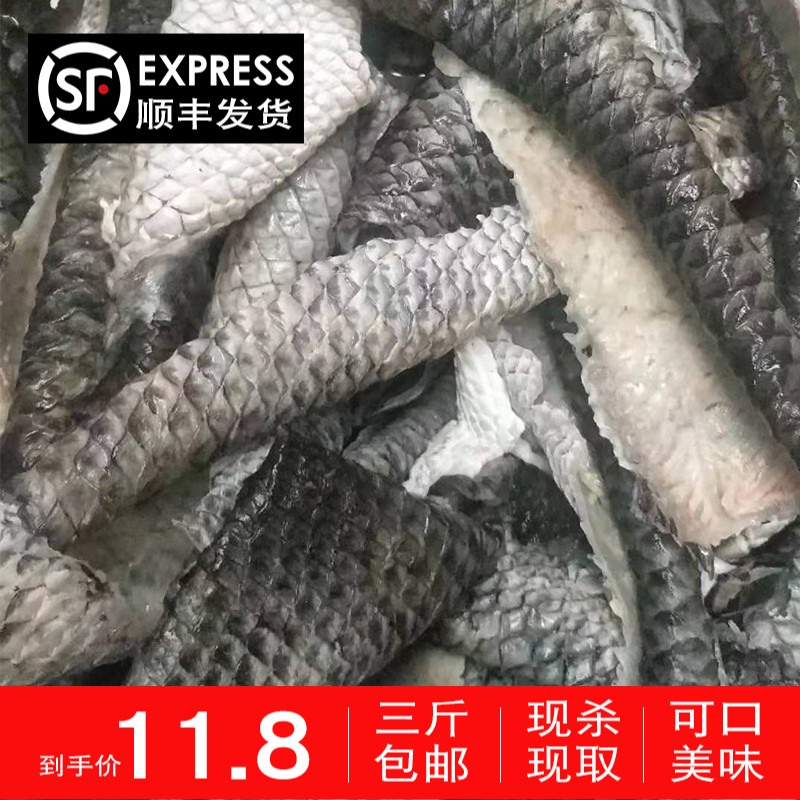 新鲜大号黑鱼皮鲜活水产冰鲜去鳞生鱼皮餐饮特色凉菜1斤装3斤包邮