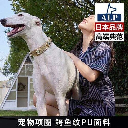 【日本高端ALP】宠物狗项圈鳄鱼纹带钻不勒脖牵引绳小型犬大型犬