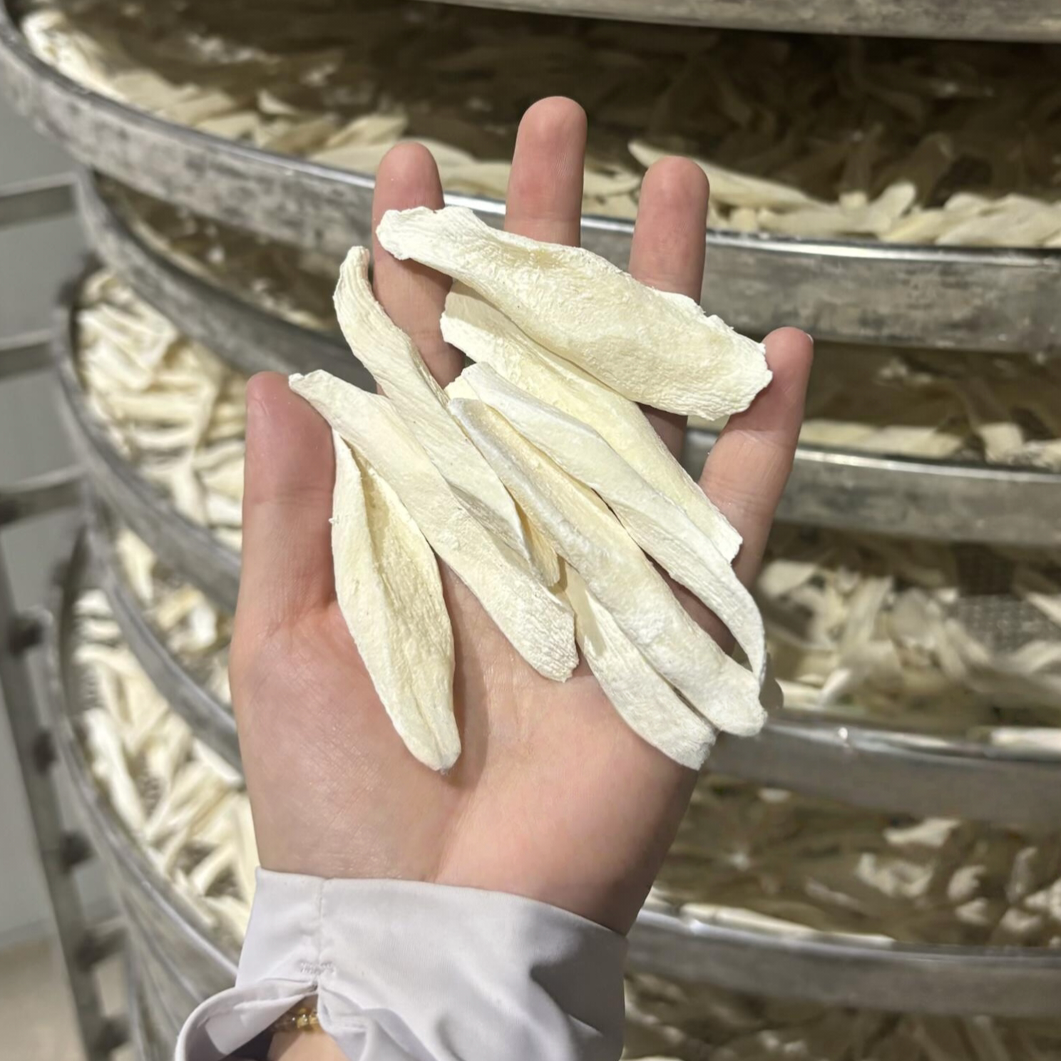 言妈茶汤坊山药片50克淮山片