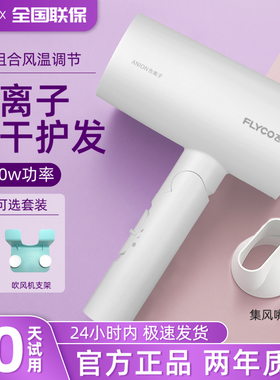 飞科吹风机负离子护发家用大功率静音速干男女宿舍专用新款FH6276