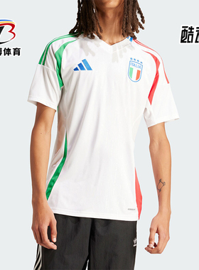 Adidas/阿迪达斯正品FIGC A JSY男士足球运动短袖球衣IN0656