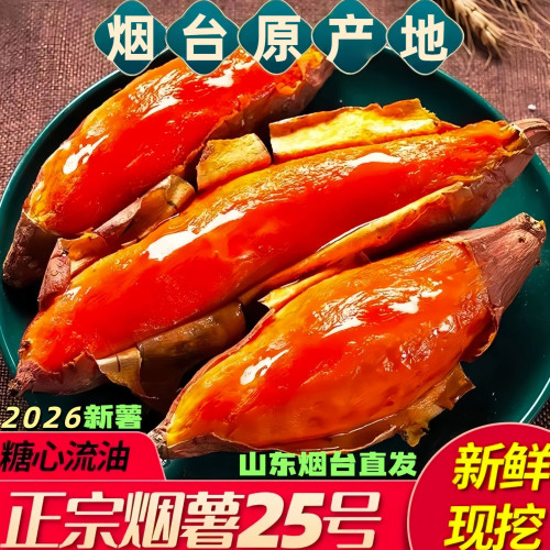 山东农科院烟薯25香甜流蜜