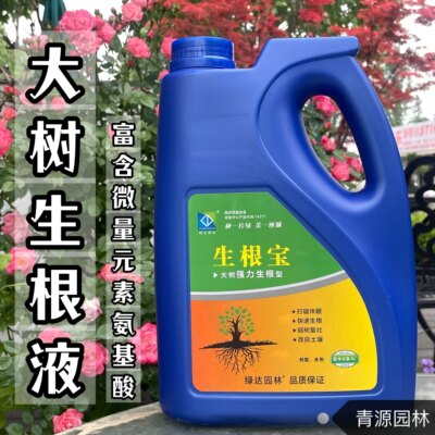 大树强力生根液园林绿化移栽树木促花卉苗木通用速生根生根壮苗剂