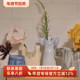 瑞典lisa larson进口陶瓷花瓶北欧ins风简约现代衣服裙插花器摆件