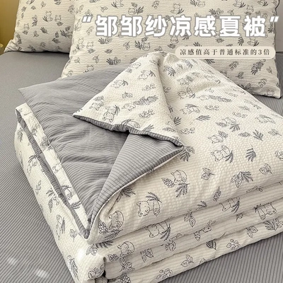 A类皱皱纱礼品夏被空调被薄被子被芯2025新款夏凉被四件套可机洗