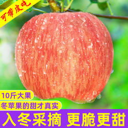 山西运城红富士丑苹果新鲜水果当季整箱斤10应季冰糖心脆甜秋冬果