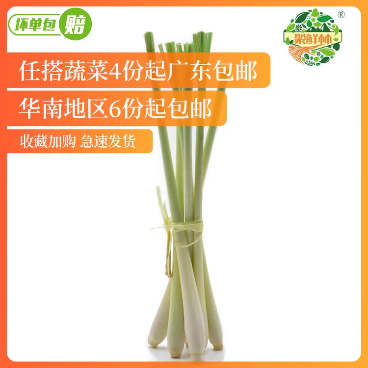 聚鲜林正宗新鲜香茅叶柠檬草香毛草300g东南亚越南冬阴功底料佐料|msdalam kategori daging perikanan/Buah-buahan segar dan sayur-sayuran/dimasak, sayur-sayuran segar/Vegetable Products, sayur-sayuran segar, lain - dari Buy2taobao.com untuk memberikan perkhidmatan ejen Taobao profesional membeli