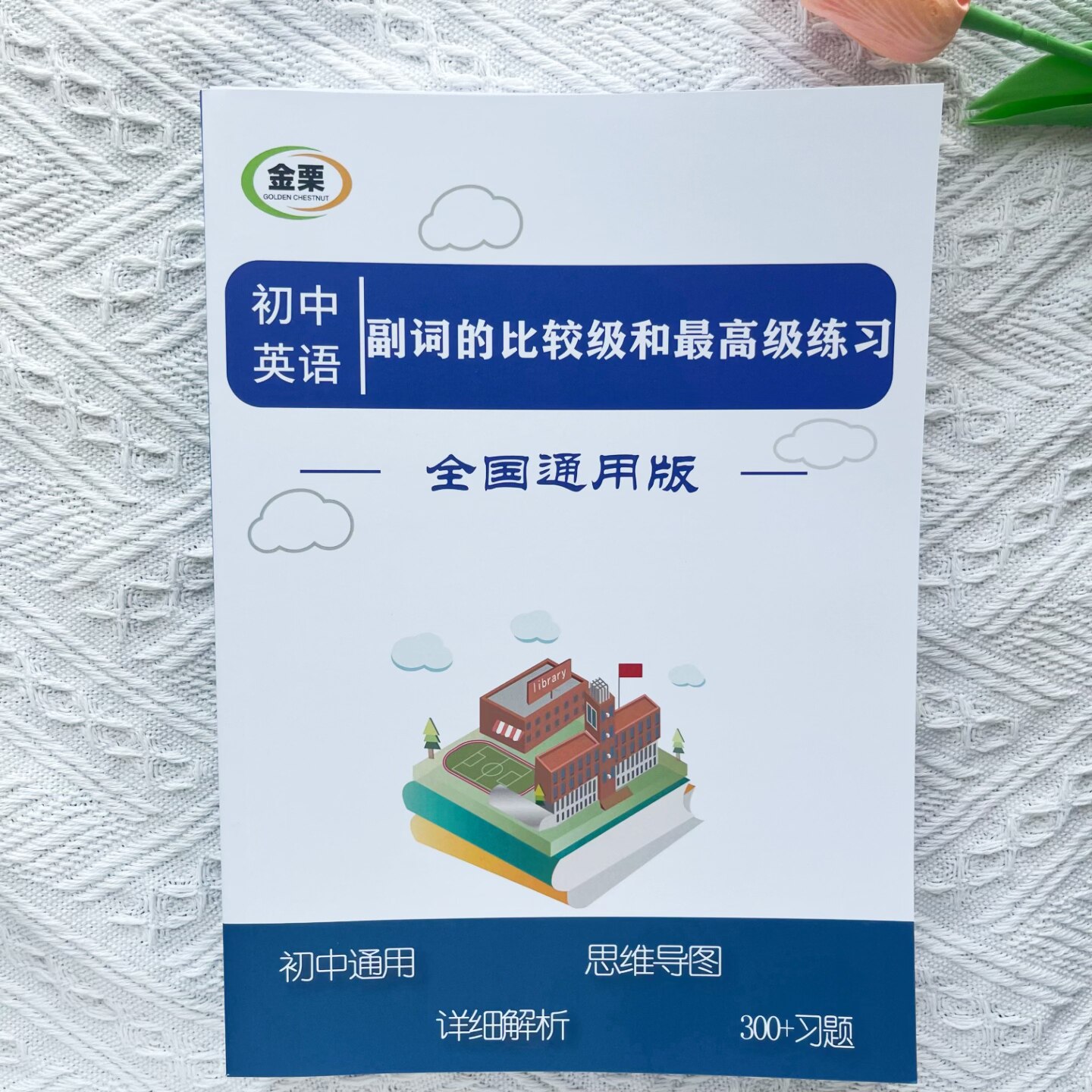 初中英语副词比较级专项练习册含思维导图解析300题初中中考通用