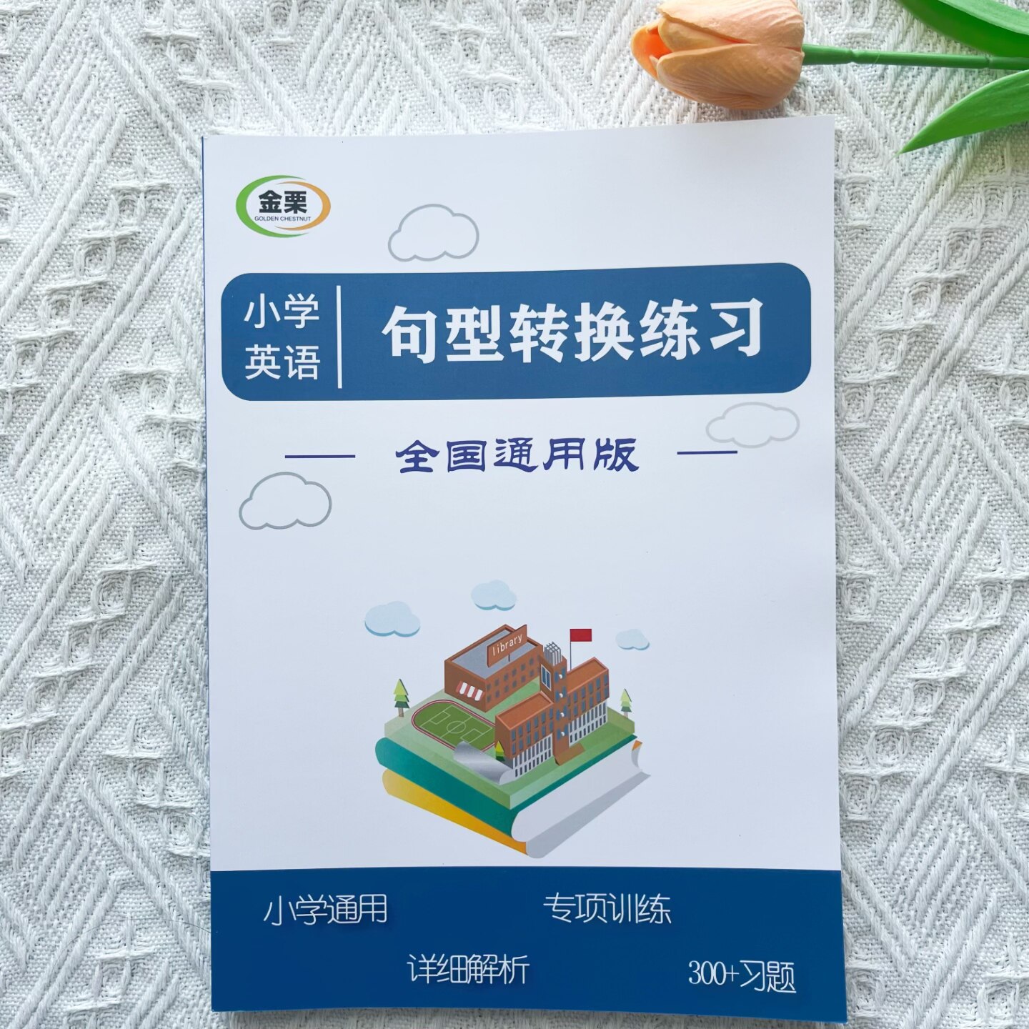 小学英语句型转换专项练习册300题含解析小学三四五六小升初通用