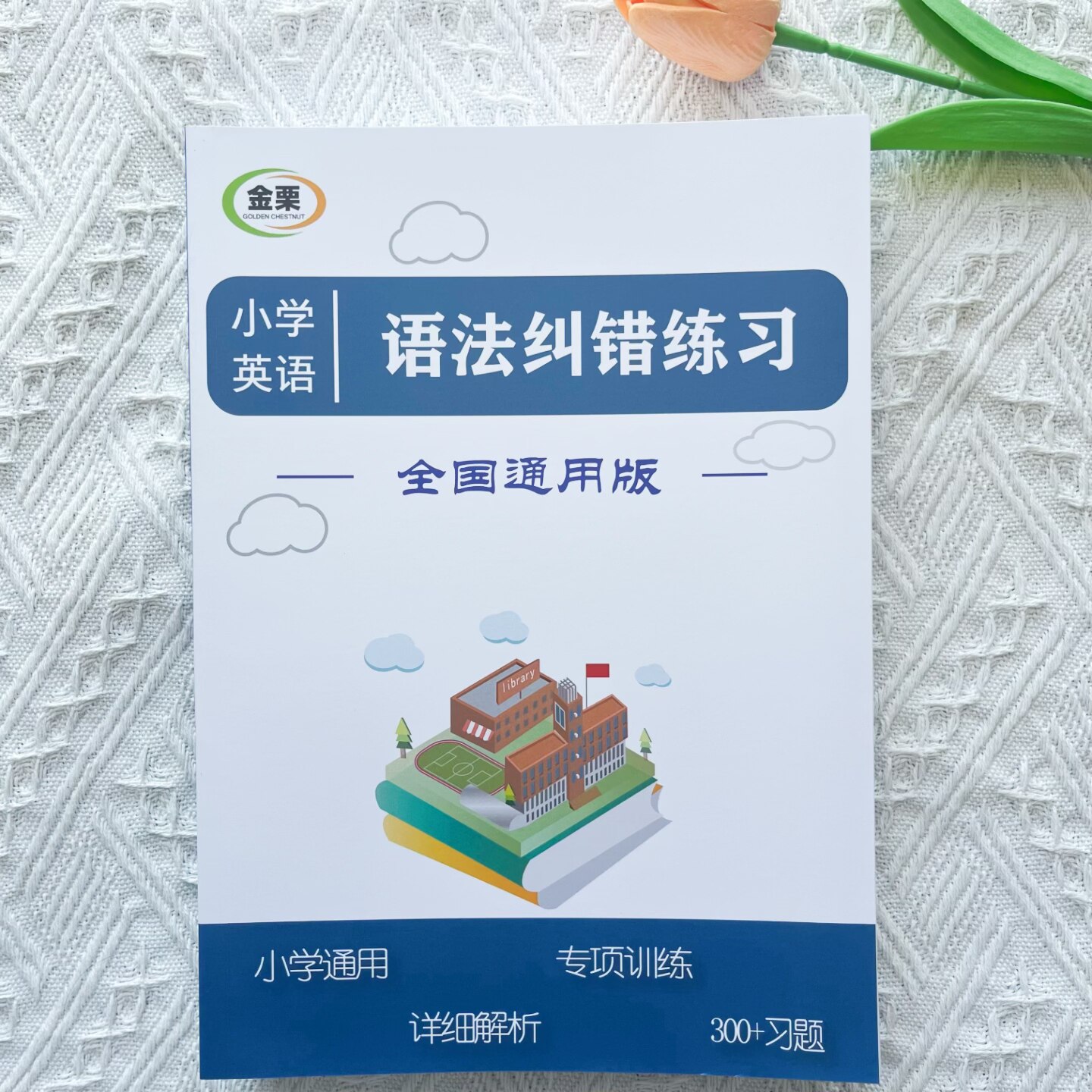 小学英语语法纠错专项练习册300题含解析小学三四五六小升初通用
