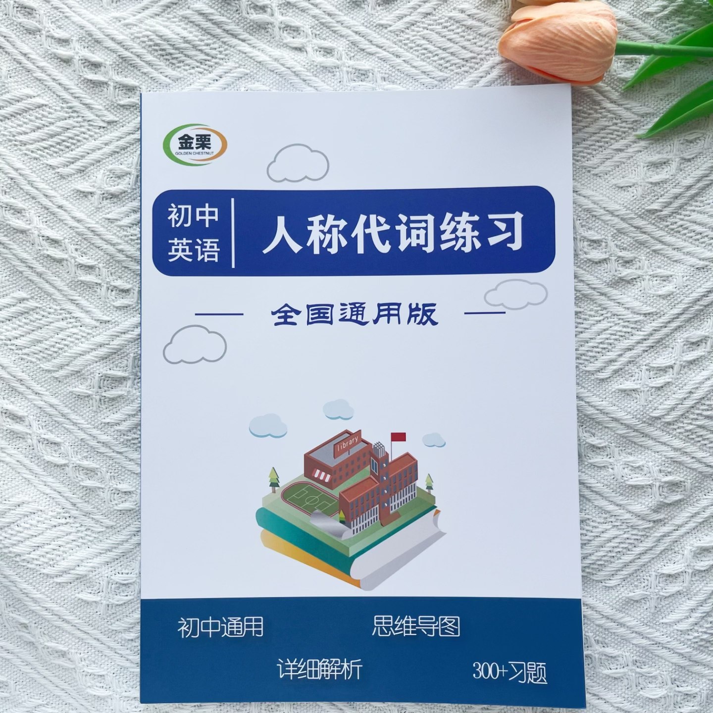 初中英语人称代词专项练习册含思维导图解析300题初中中考通用