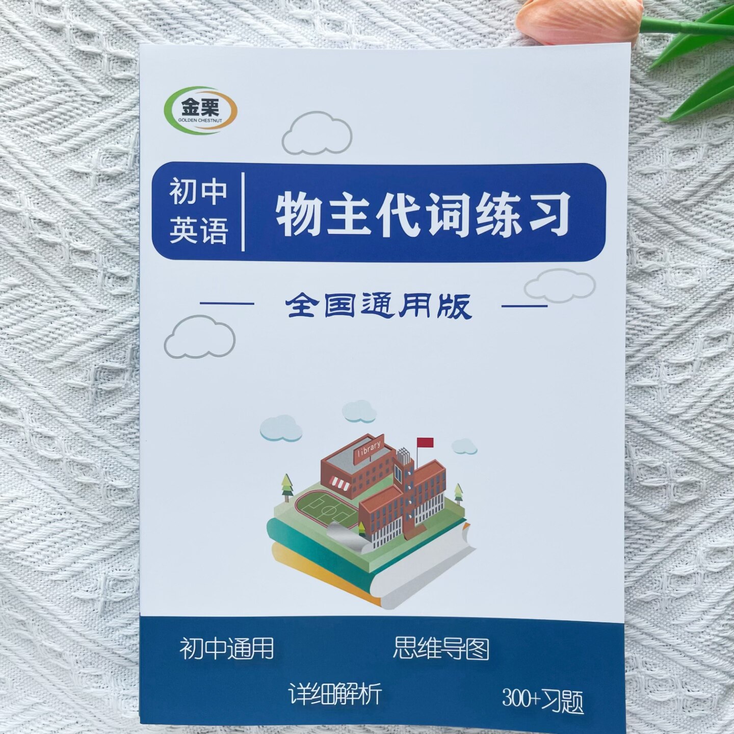 初中英语物主代词专项练习册含思维导图解析300题初中中考通用