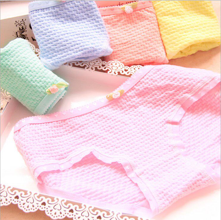 Slip jeunesse A001 en coton - Ref 646285 Image 5