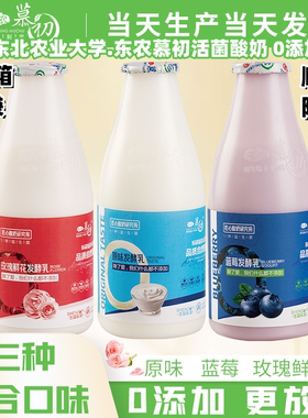 【农大酸奶.东农慕初】0添加活菌发酵乳 农大益生菌酸奶 校园美食