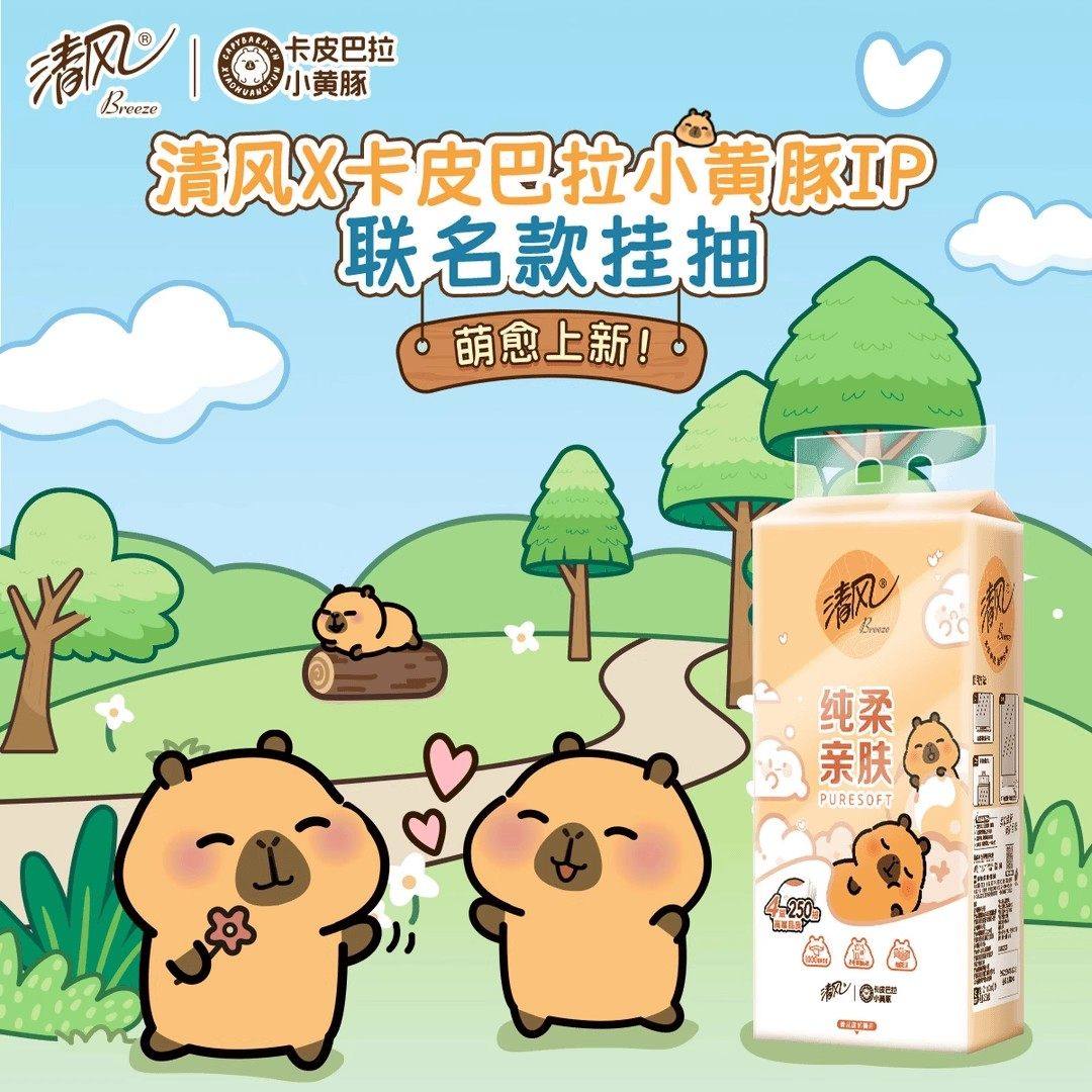 清风挂抽10提卡皮巴拉纸巾整箱