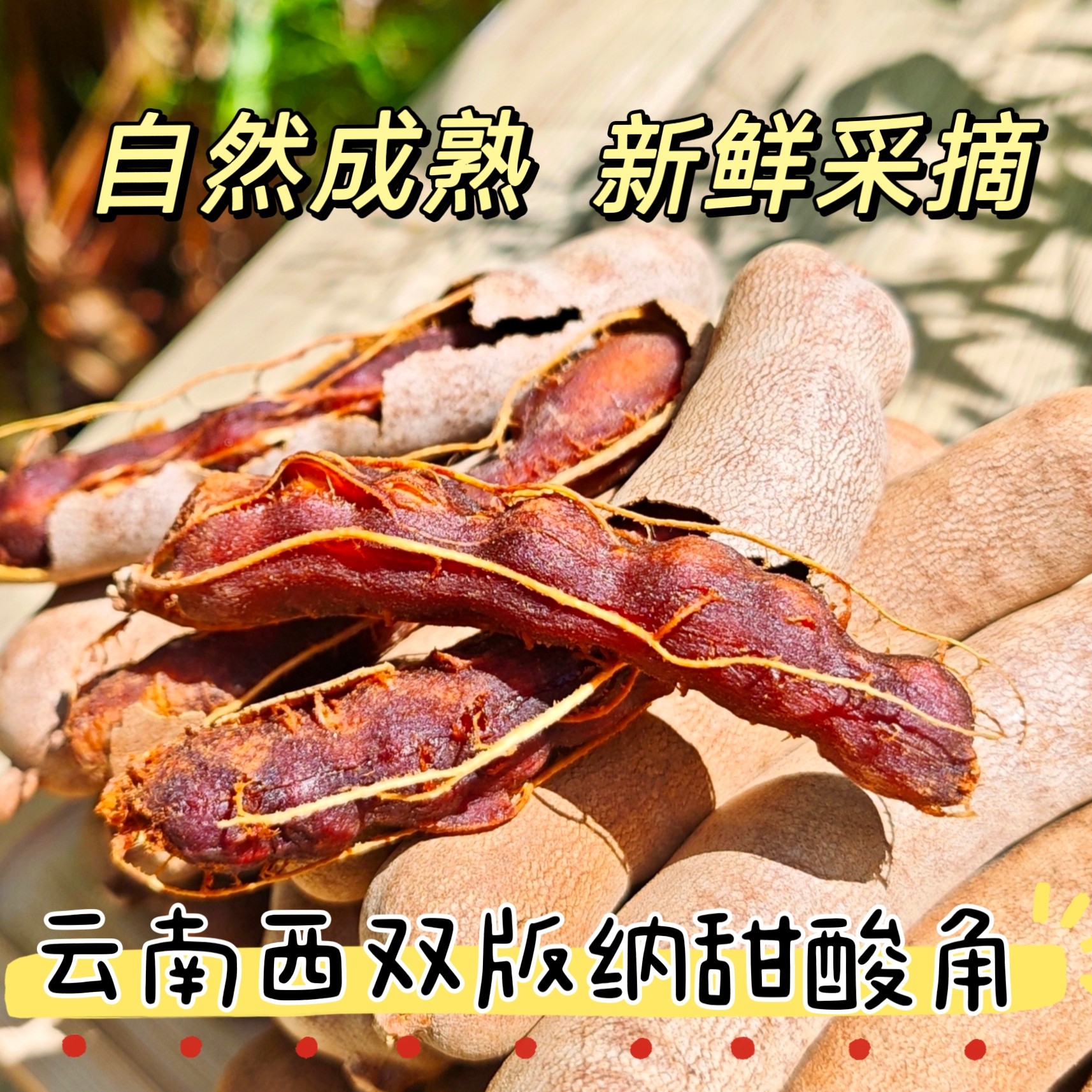 西双版纳酸角云南特产甜角