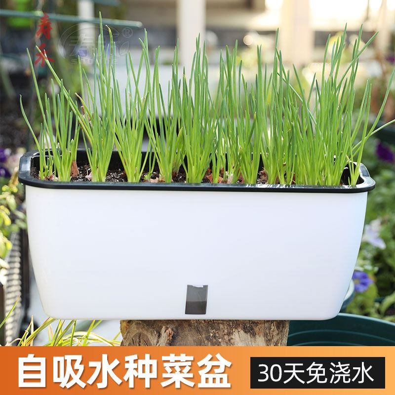 阳台种葱神器韭菜专用盆阳台种菜大号天台种植箱大蒜屋顶菜园蔬菜