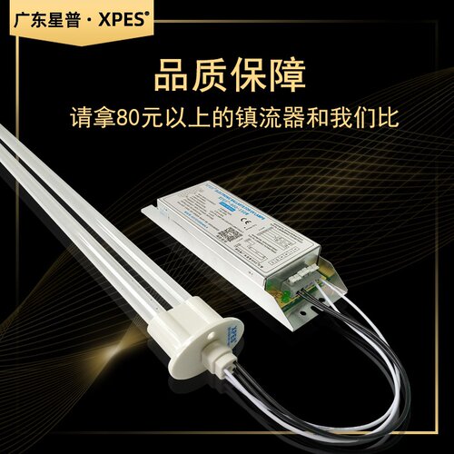 适用于喷漆烤漆房环保设备维修替换uv光氧灯管镇流器24h用RYM-800
