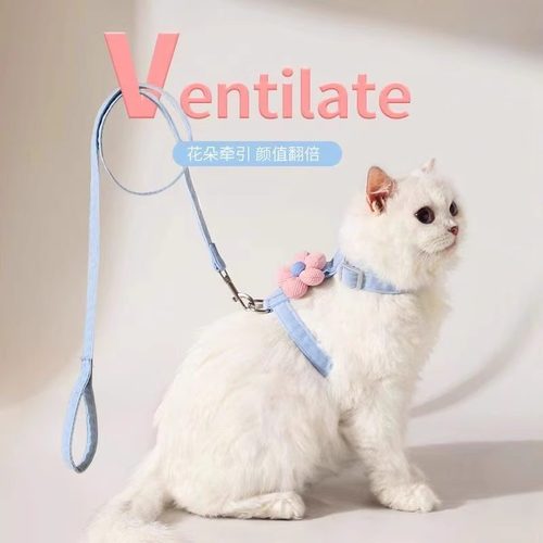 猫咪牵引绳防挣脱遛猫牵引绳猫绳子猫牵引外出可调节专用猫绳背带