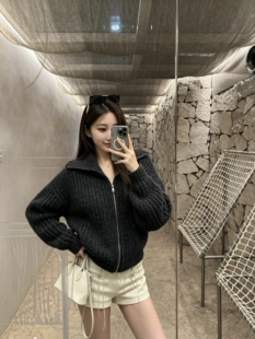 韩丝娜 le*re深灰粗棒针立领毛衣开衫上衣外套女秋冬 超厚实一件