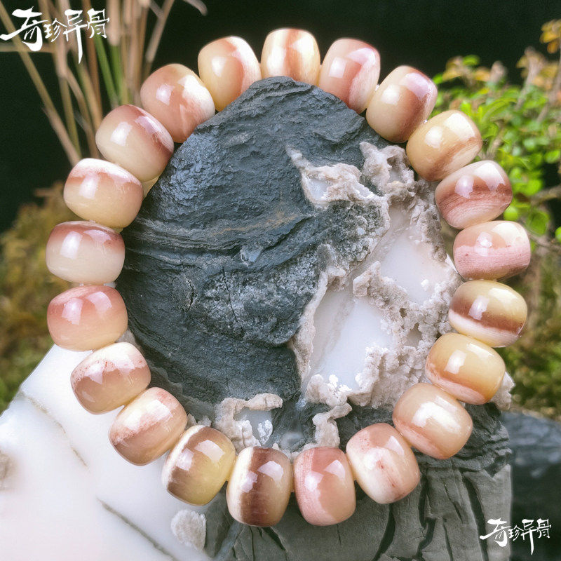 天然骆驼骨手串高密度老型