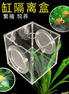 隔离盒孵化盒亚克力鱼缸水族箱鱼苗孵化繁殖箱孔雀鱼小鱼缸隔离盒