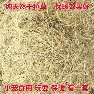 新稻草天然宠物鸡窝草干稻草牛羊猪饲料狗鸭窝草道具谷草秸秆