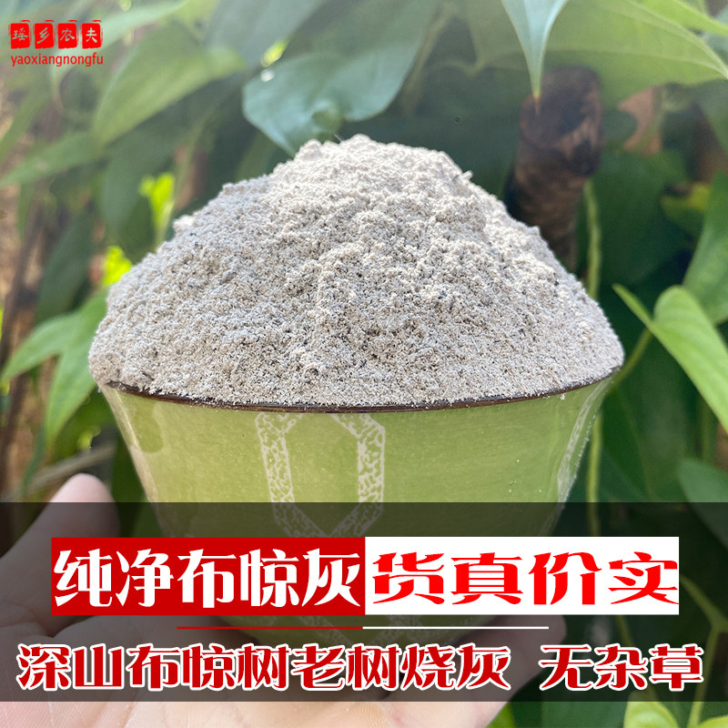布惊树纯布惊灰灰水食用天然植物碱包粽子材料枧水碱水黄荆草木灰