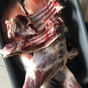 陕北横山羊肉榆林前腿羊排新鲜农家散养送料包送红葱地椒航空
