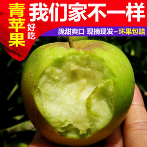 新鲜采摘昭通酸甜多汁青苹果