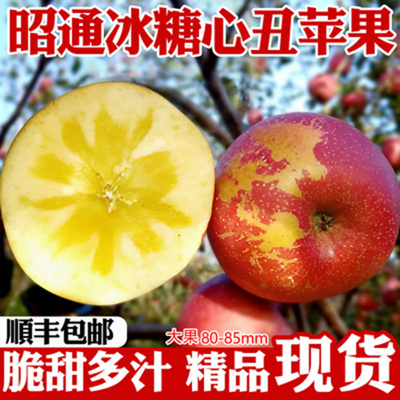 云南昭通苹果冰糖心丑苹果水果10斤新鲜脆苹果红富士当季整箱包邮,水产肉类/新鲜蔬果/熟食,苹果,淘宝优惠券,粉丝福利购,淘宝优惠卷