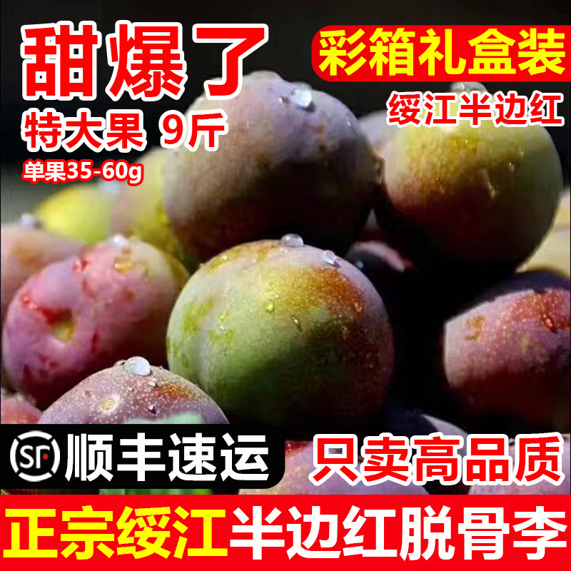 云南綏江半邊紅脫骨李子水果 新鮮脆甜非四川茵紅李5斤包郵