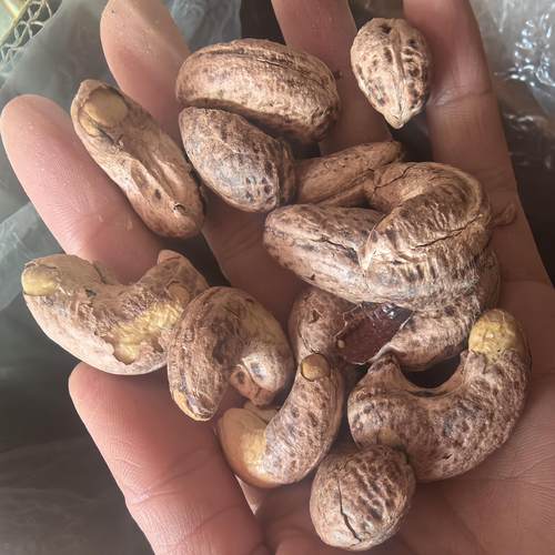 新货越南带皮盐焗紫皮腰果仁烘焙坚果孕妇零食特产坚果年货500g