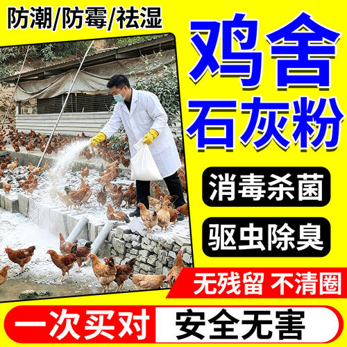 鸡舍消毒石灰粉生杀菌虫养殖